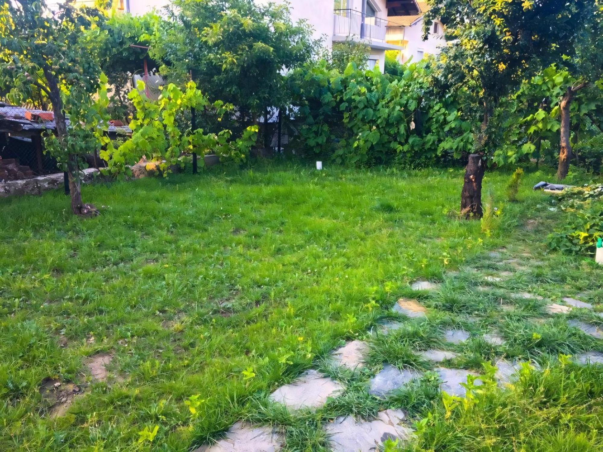 ספרבה בניה Alpin Guest House מראה חיצוני תמונה